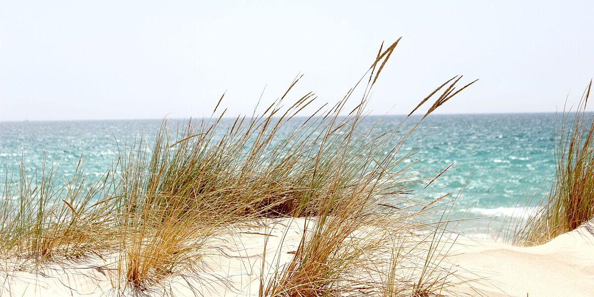 Klima und Meer