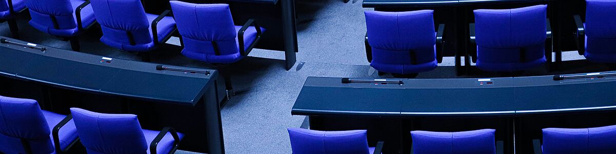 Kulturen der Meinungsbildung im Parlamentarismus