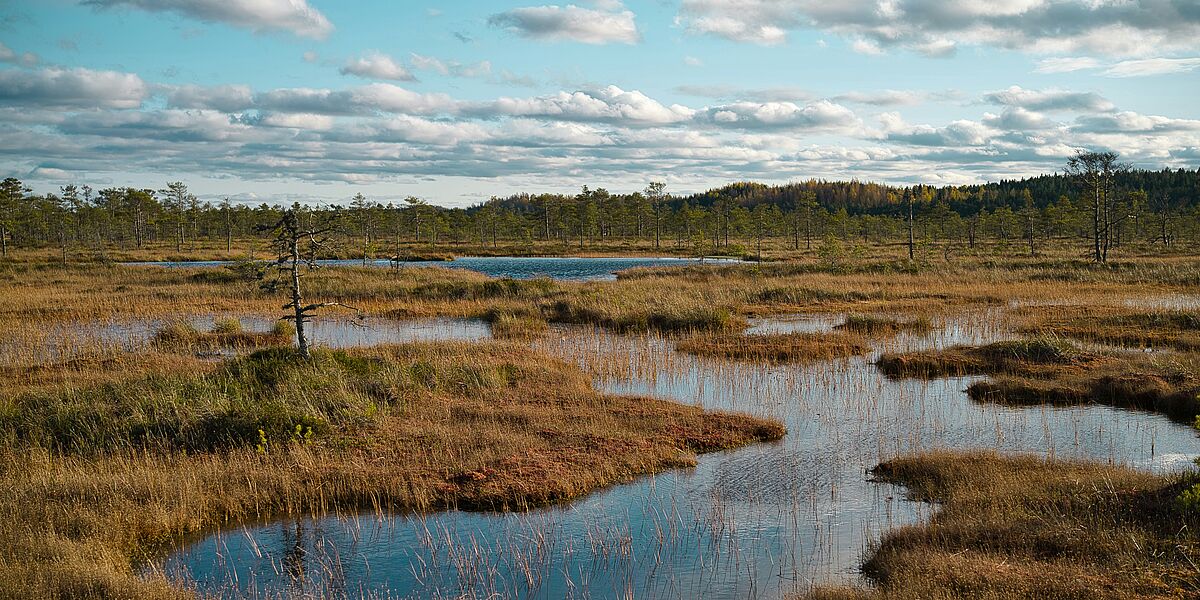 Peatland Restoration as a Development Option in Rural Areas